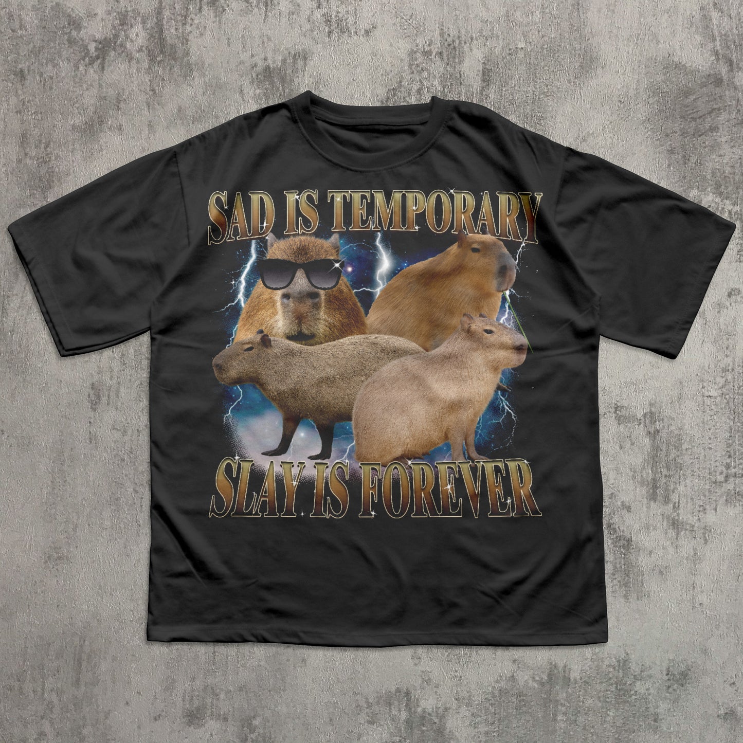 Sad Is Temporary Slay is Forever 90s Retro T-Shirt, Vintage Capybaras Shirt