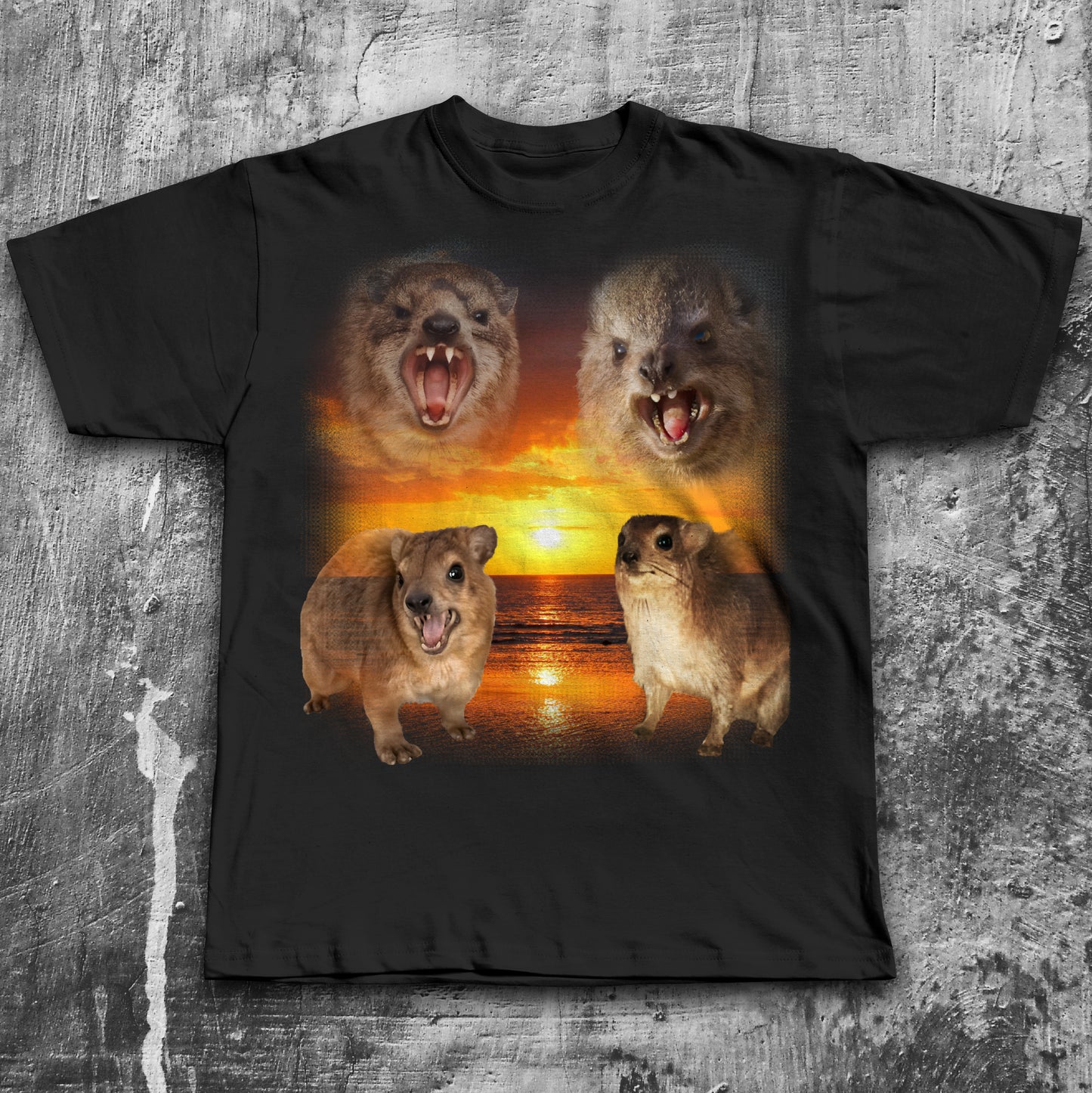 90s Vintage Hyrax Sunset T-shirt