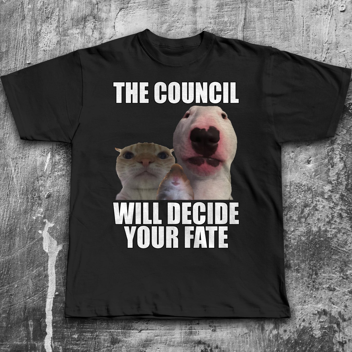 The Council Will Decide Your Fate Funny Cat Meme T-Shirt, Brainrot Shirt