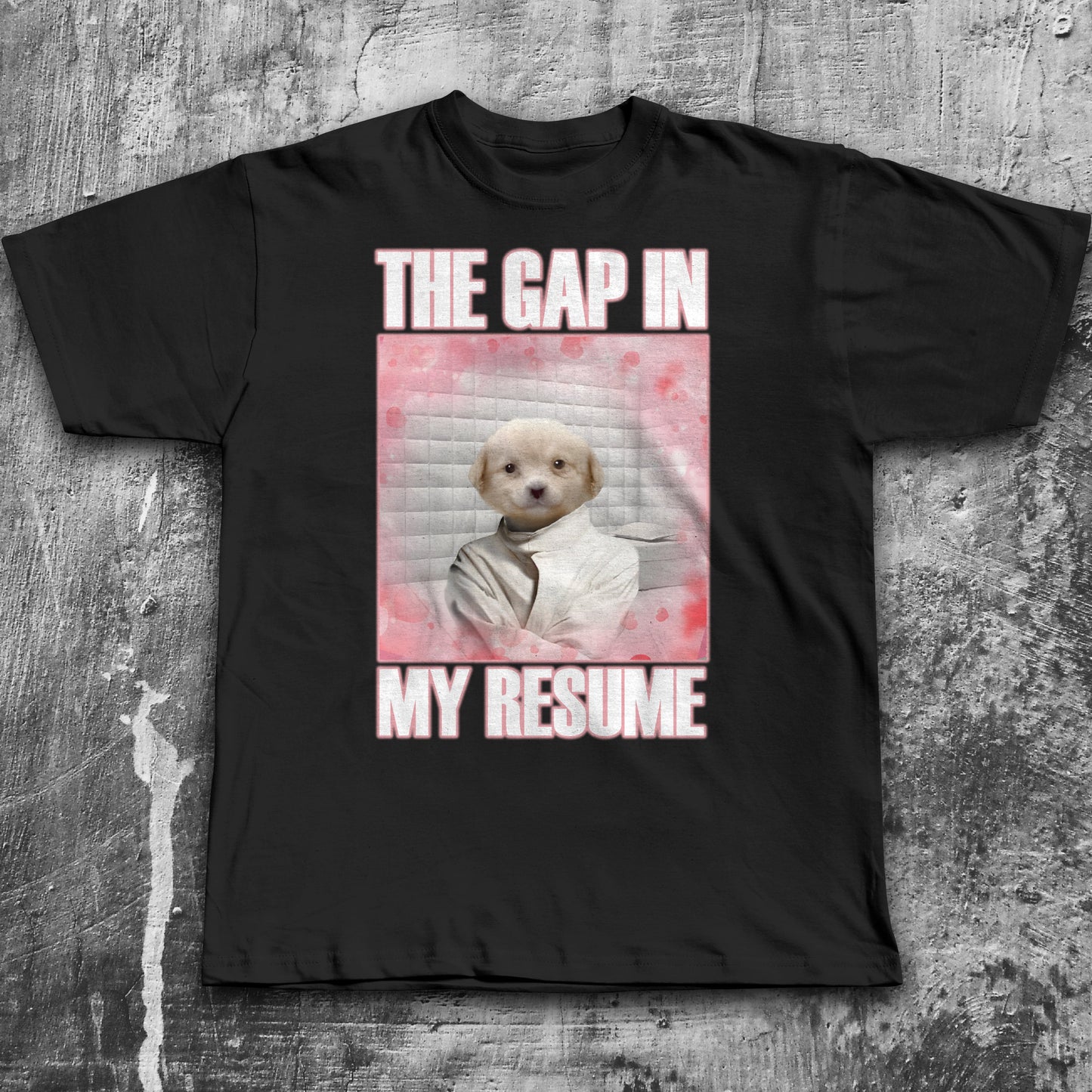 The Gap in My Resume Funny Mulch Dog Meme T-shirt, Brainrot Shirt