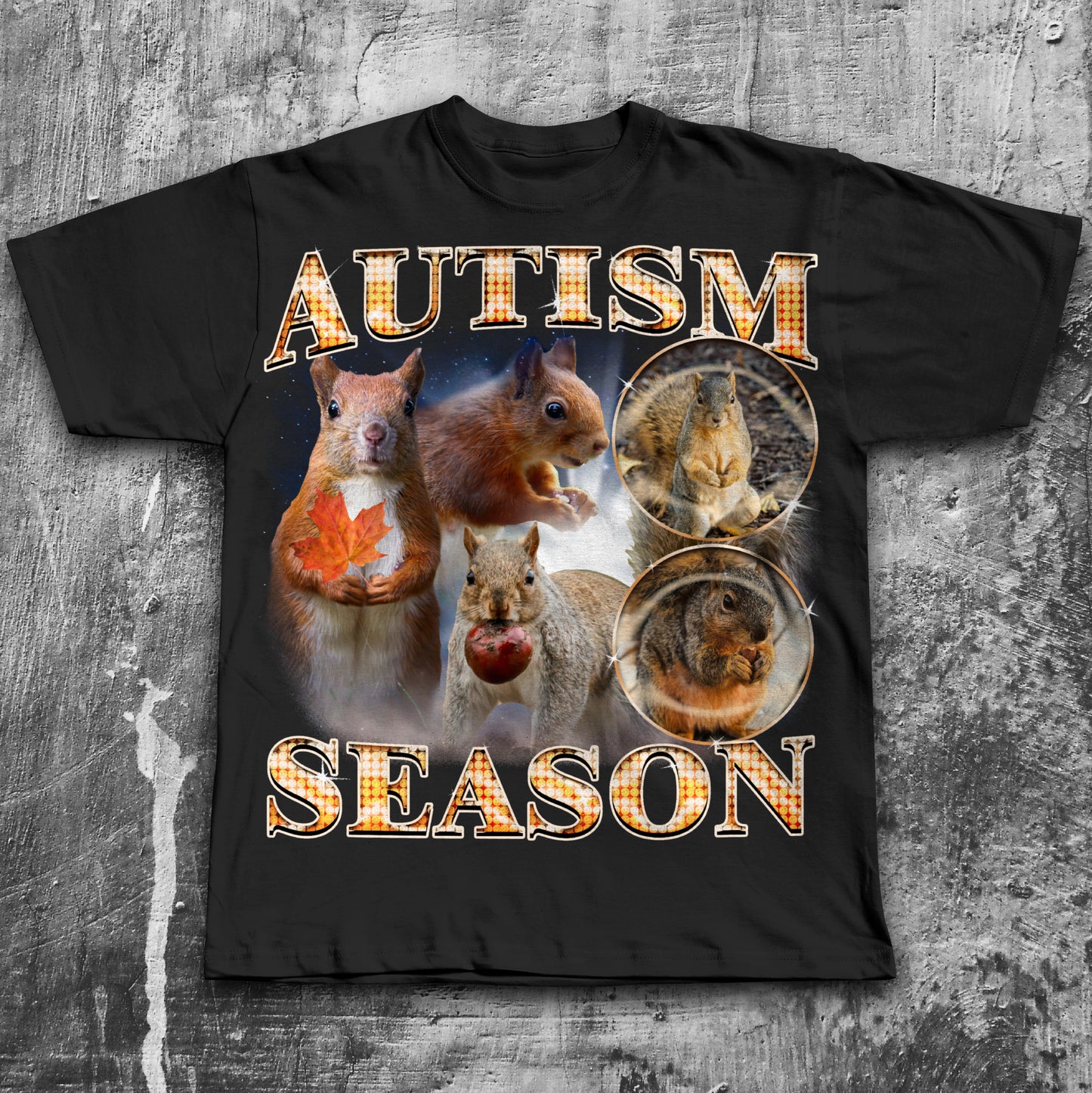 Autism Season Funny Squirrel T-shirt, Unhinged Clothes, Autumn Shirt, Stupid Gifts, Silly Animal Shirts, 90s Retro Bootleg Graphic Tee