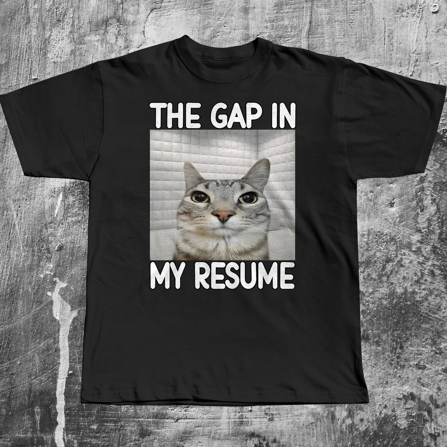 The Gap in My Resume Funny Cat Meme T-shirt, Brainrot Shirt