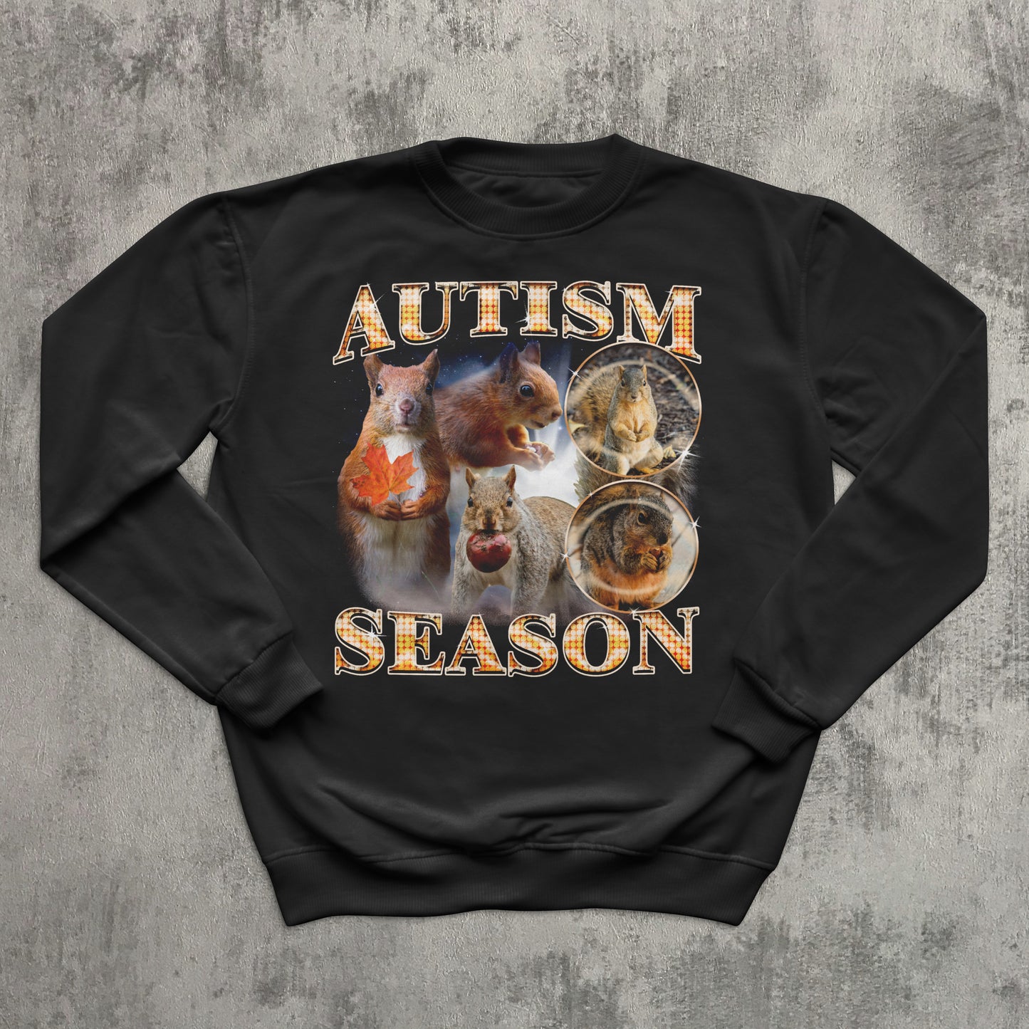 Autism Season Funny Squirrel Sweatshirt, Unhinged Clothes, Autumn Sweatshirts, Ugly Sweater