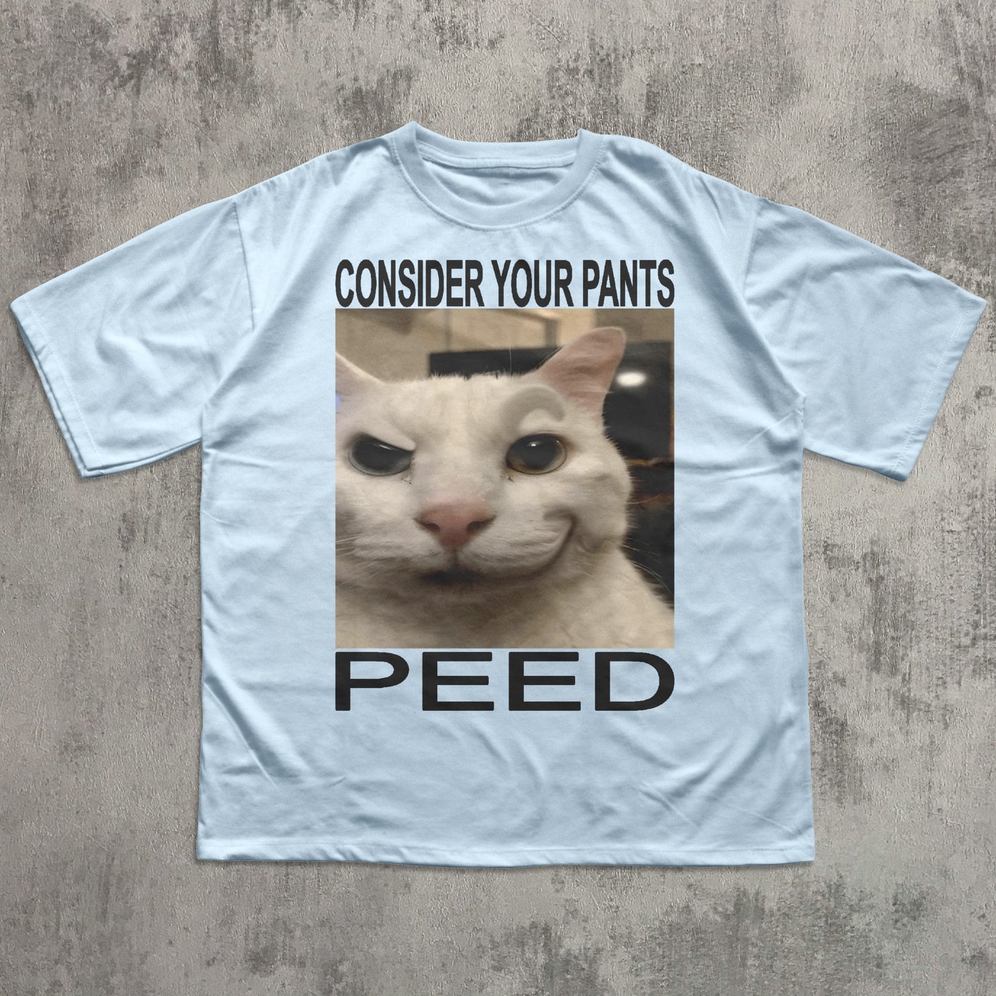 Consider Your Pants Peed Funny Cat Meme T-shirt, Brainrot Shirt