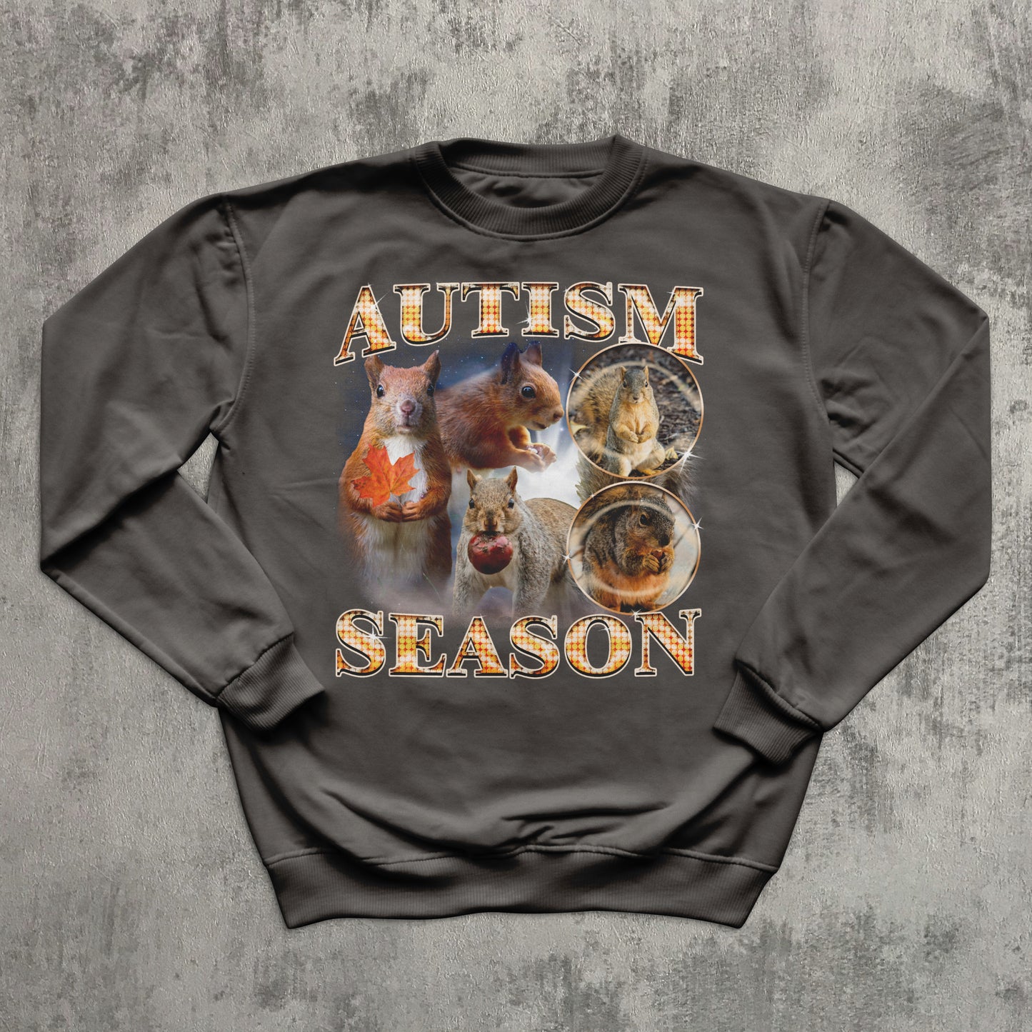 Autism Season Funny Squirrel Sweatshirt, Unhinged Clothes, Autumn Sweatshirts, Ugly Sweater