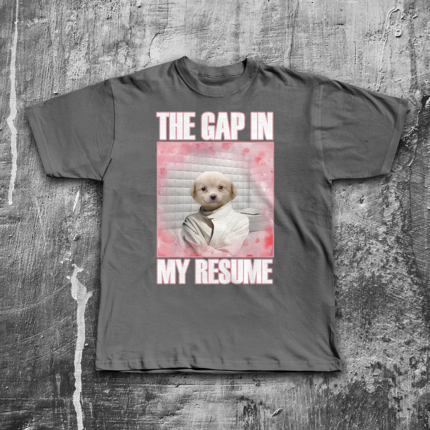 The Gap in My Resume Funny Mulch Dog Meme T-shirt, Brainrot Shirt