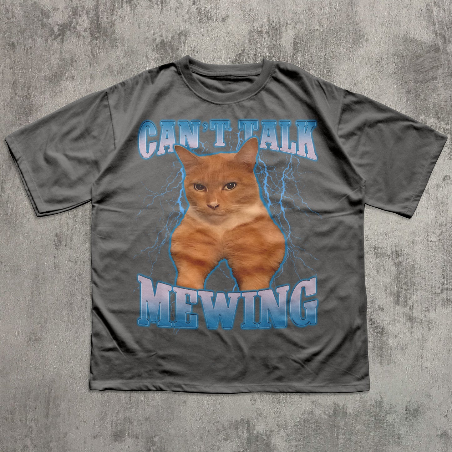 Funny Gray t-shirt with a cat graphic and text on a textured gray background