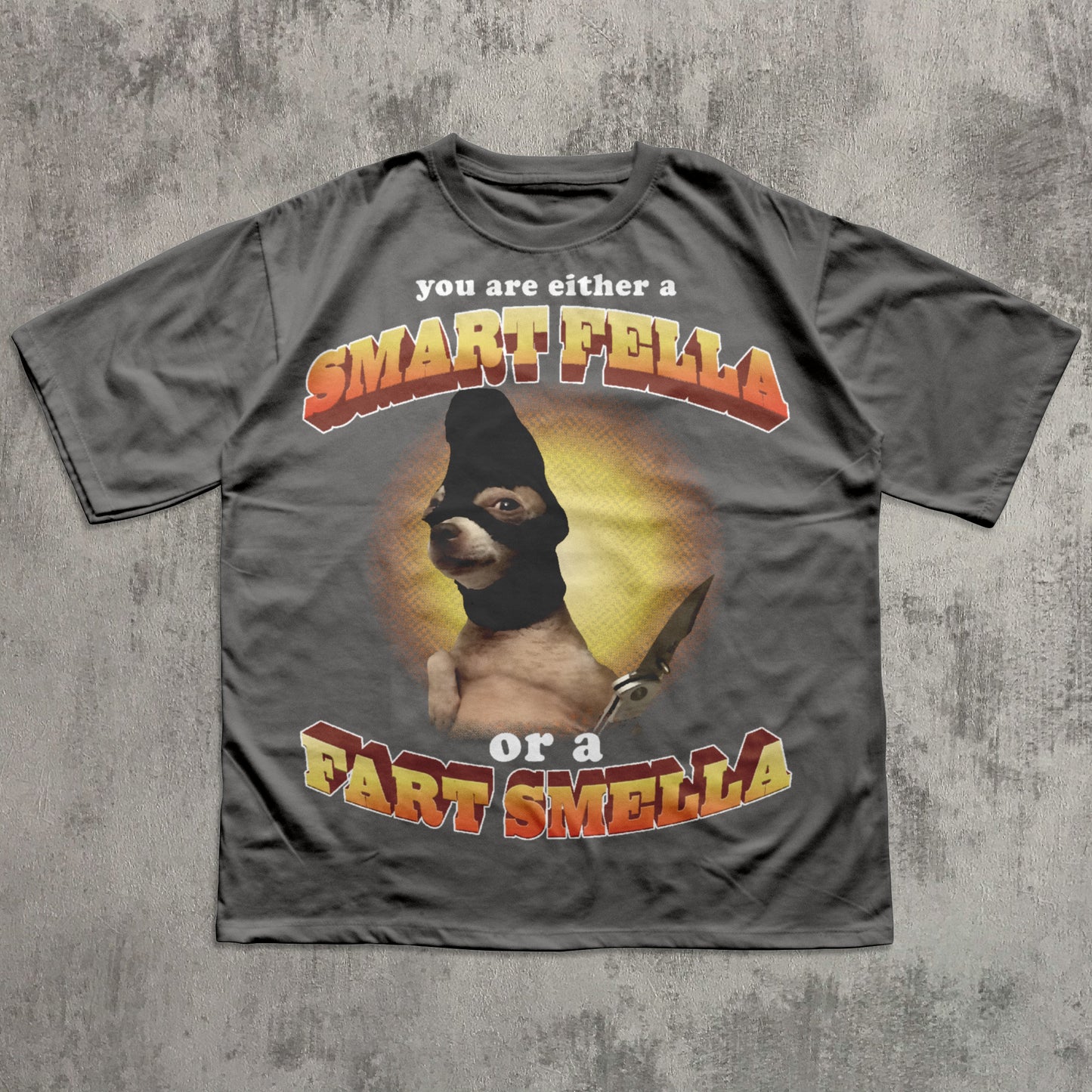 Gray t-shirt with a graphic of a dog and text on a textured gray background
