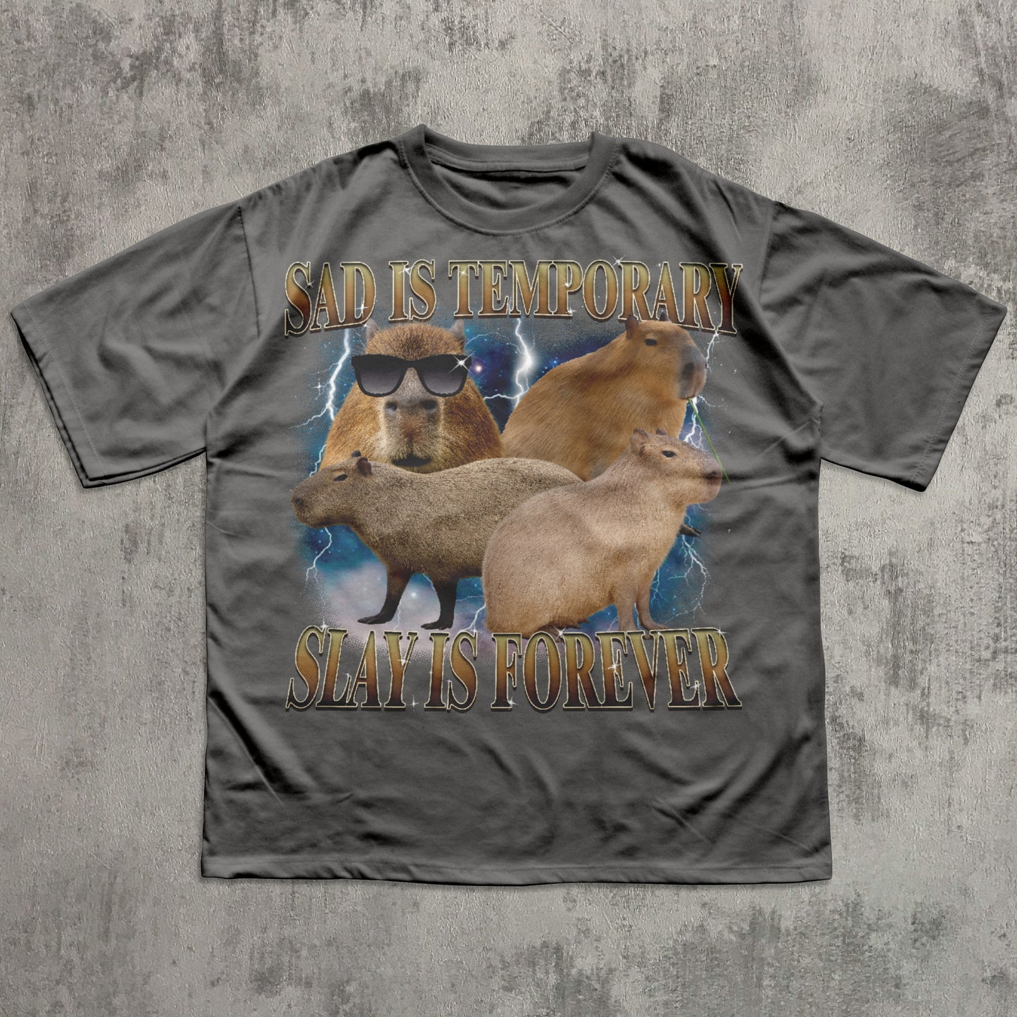 Sad Is Temporary Slay is Forever 90s Retro T-Shirt, Vintage Capybaras Shirt