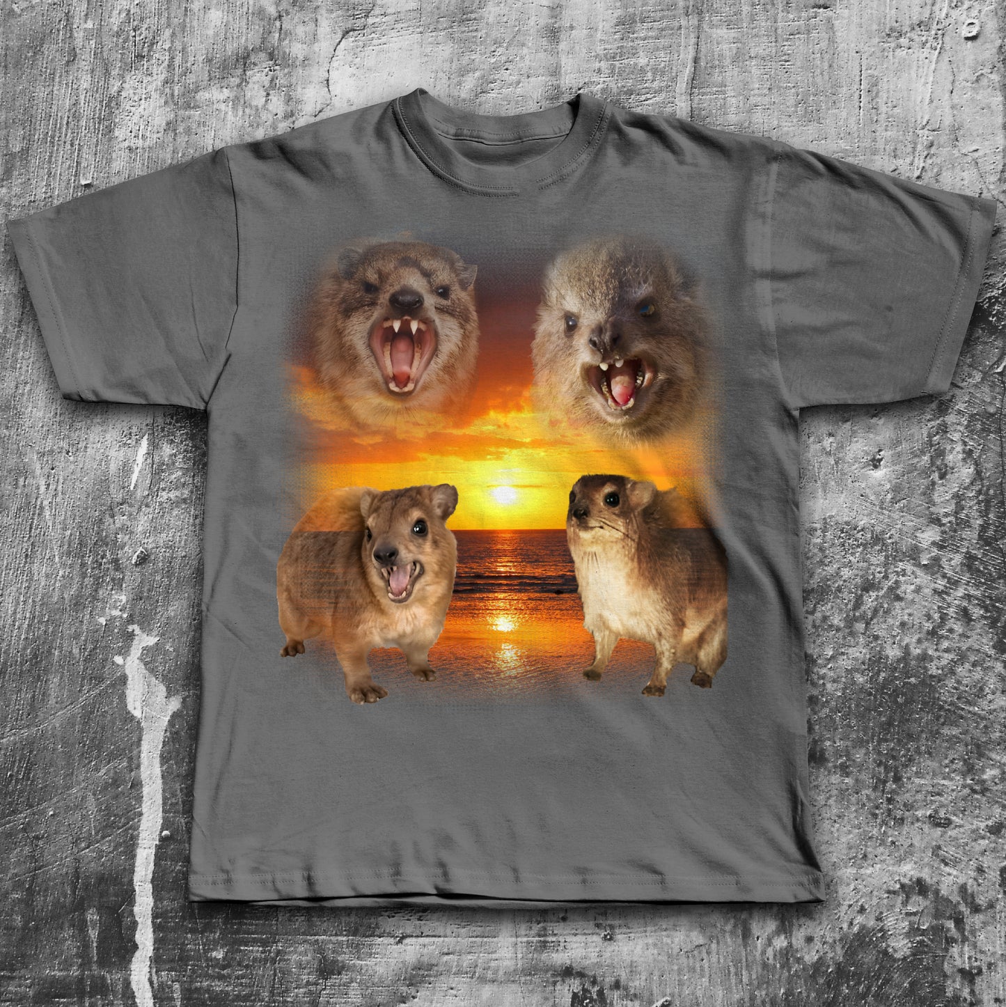90s Vintage Hyrax Sunset T-shirt
