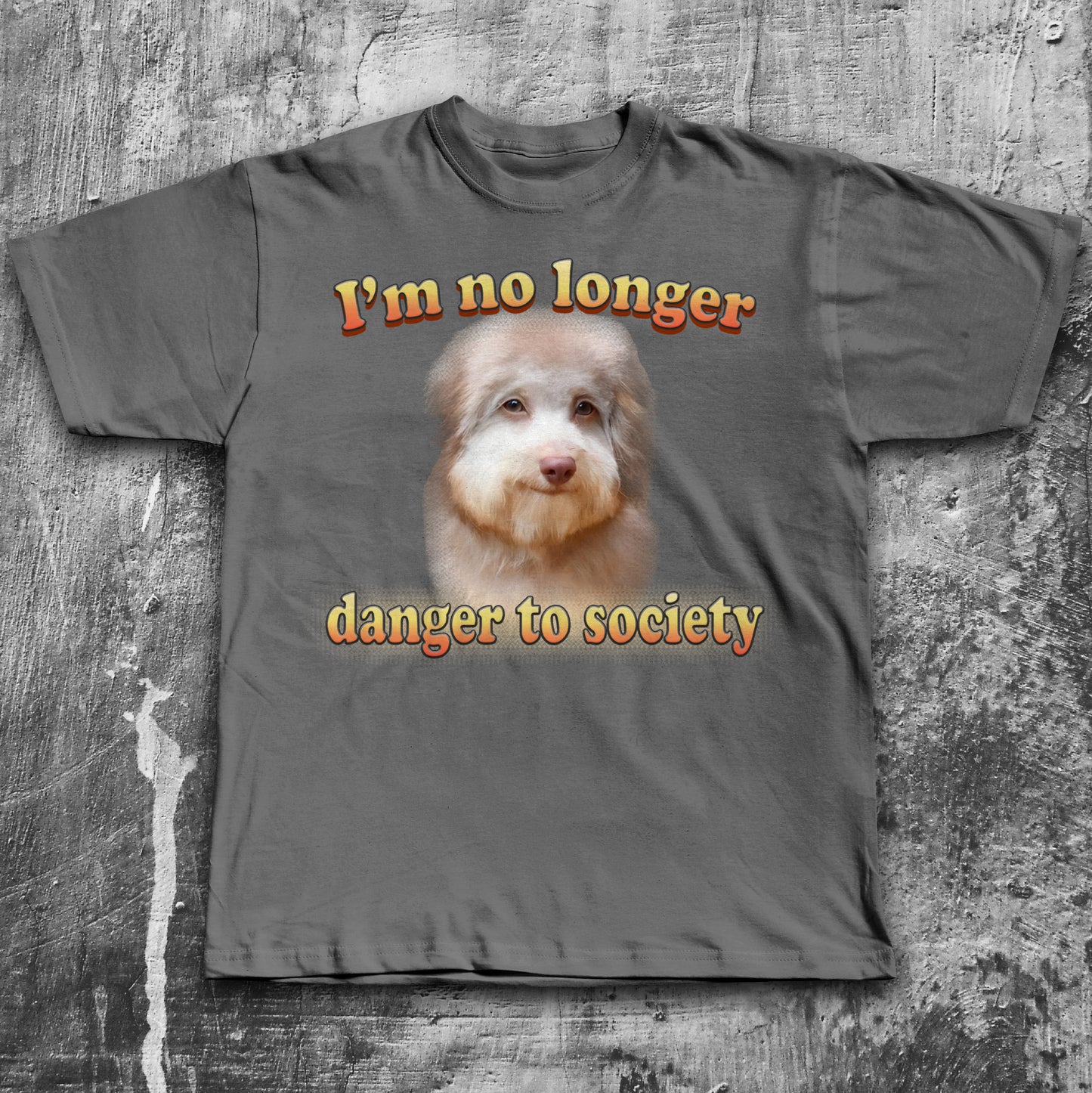 Im no Longer Danger To Society Funny Dog Meme T-shirt