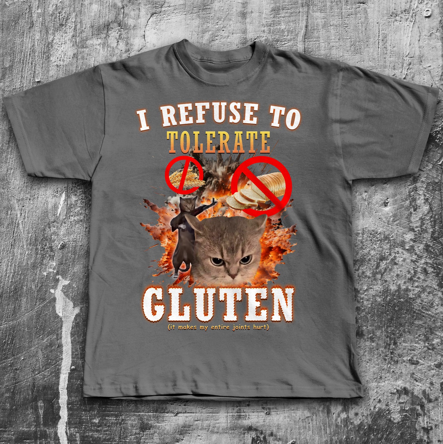 I Refuse to Tolerate Cat Meme T-shirt