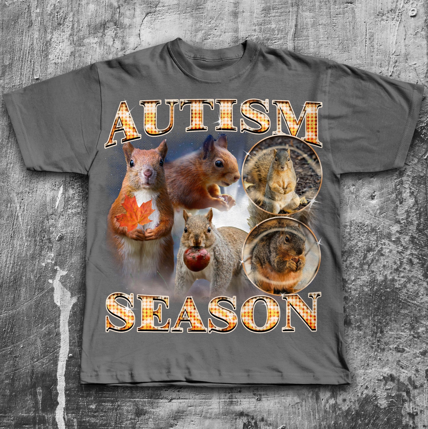 Autism Season Funny Squirrel T-shirt, Unhinged Clothes, Autumn Shirt, Stupid Gifts, Silly Animal Shirts, 90s Retro Bootleg Graphic Tee