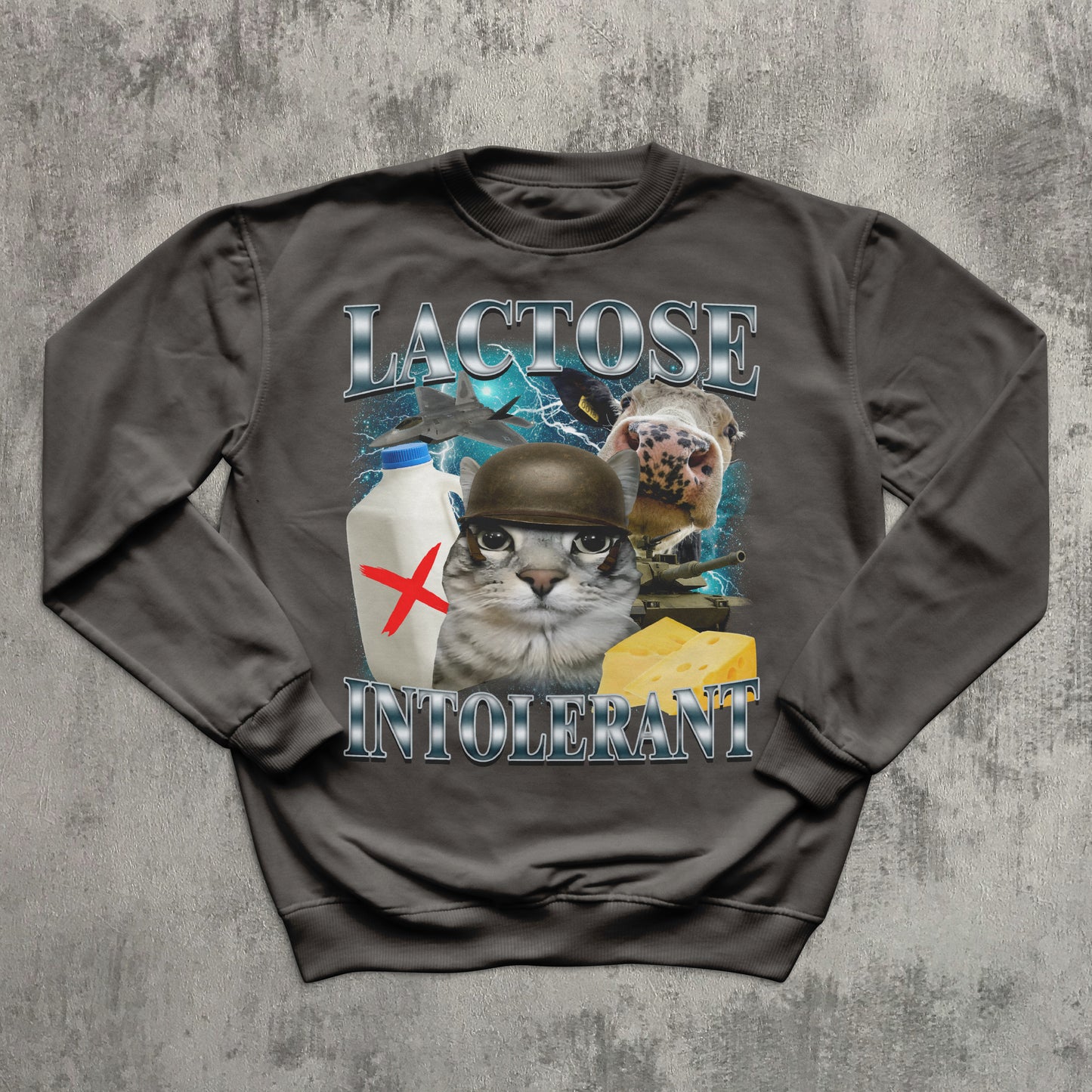 Lactose Intolerant Funny Cat Meme Sweatshirt, Lactose Sweatshirts, Stupid Gifts, Silly Cats Top