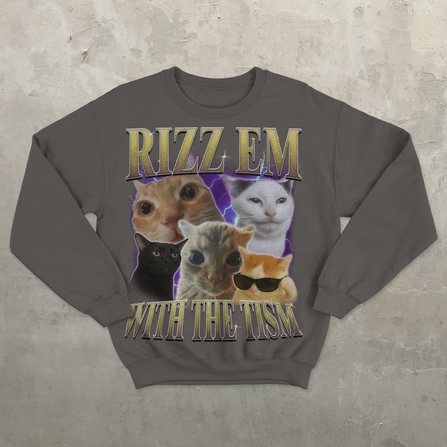 Rizz Em With The Tism Funny Cats Sweatshirt, Meme Sweater, Silly Cat Sweatshirts, Ugly Sweaters