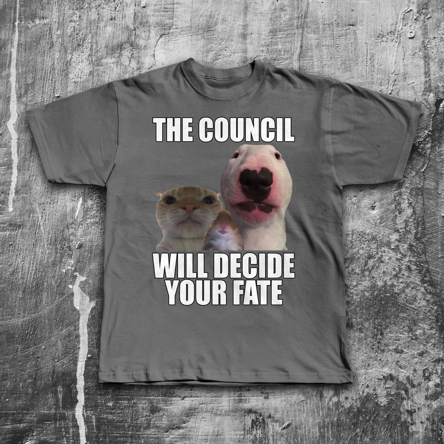 The Council Will Decide Your Fate Funny Cat Meme T-Shirt, Brainrot Shirt