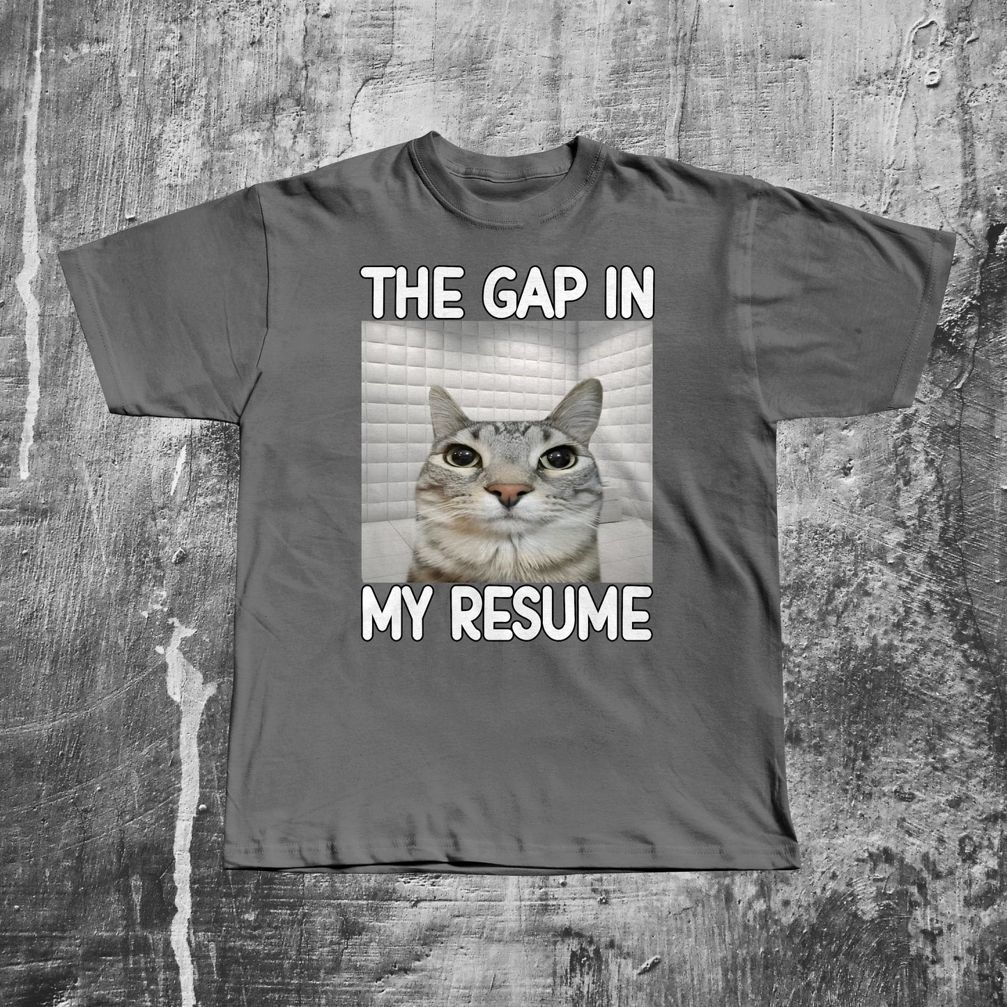 The Gap in My Resume Funny Cat Meme T-shirt, Brainrot Shirt