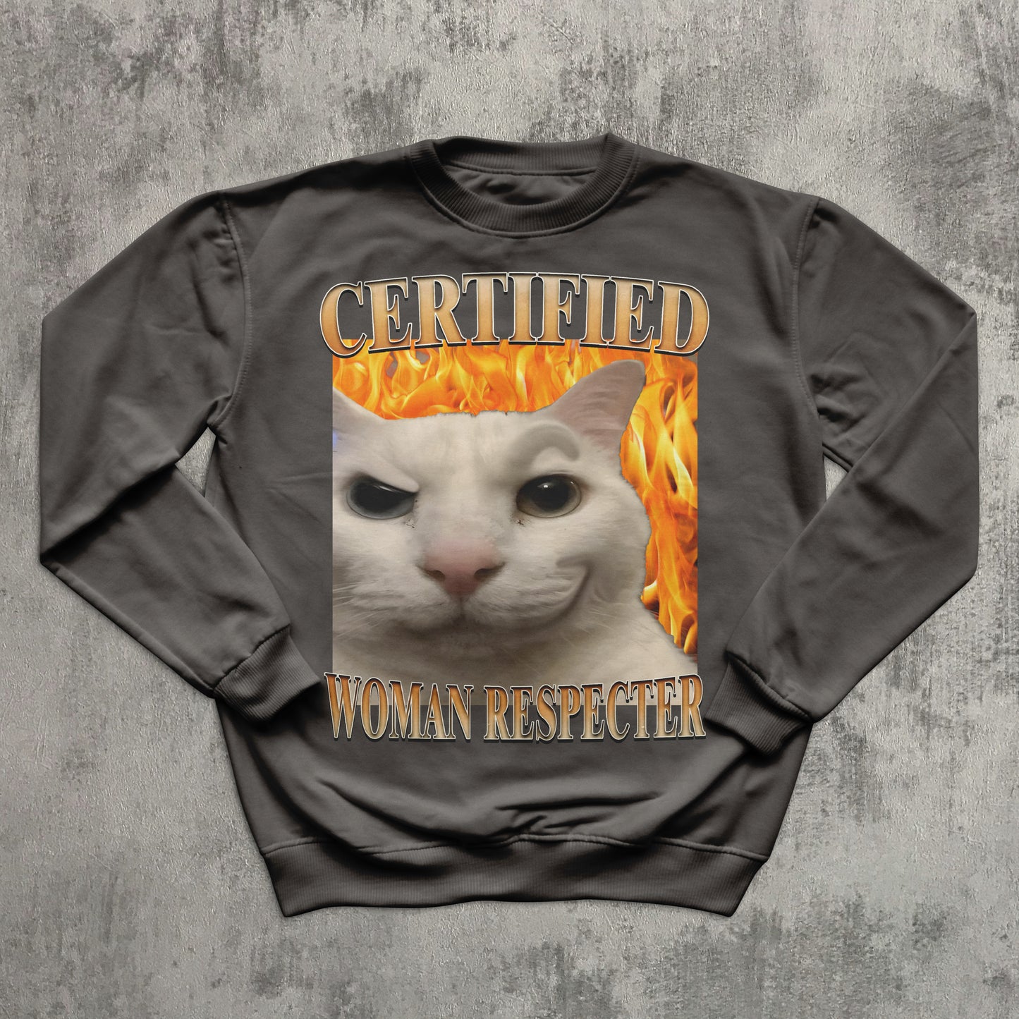 Certified Woman Respecter Funny Cat Meme Sweatshirt, Cats lover Gifts, Silly Kitten Sweaters, Ugly Sweater