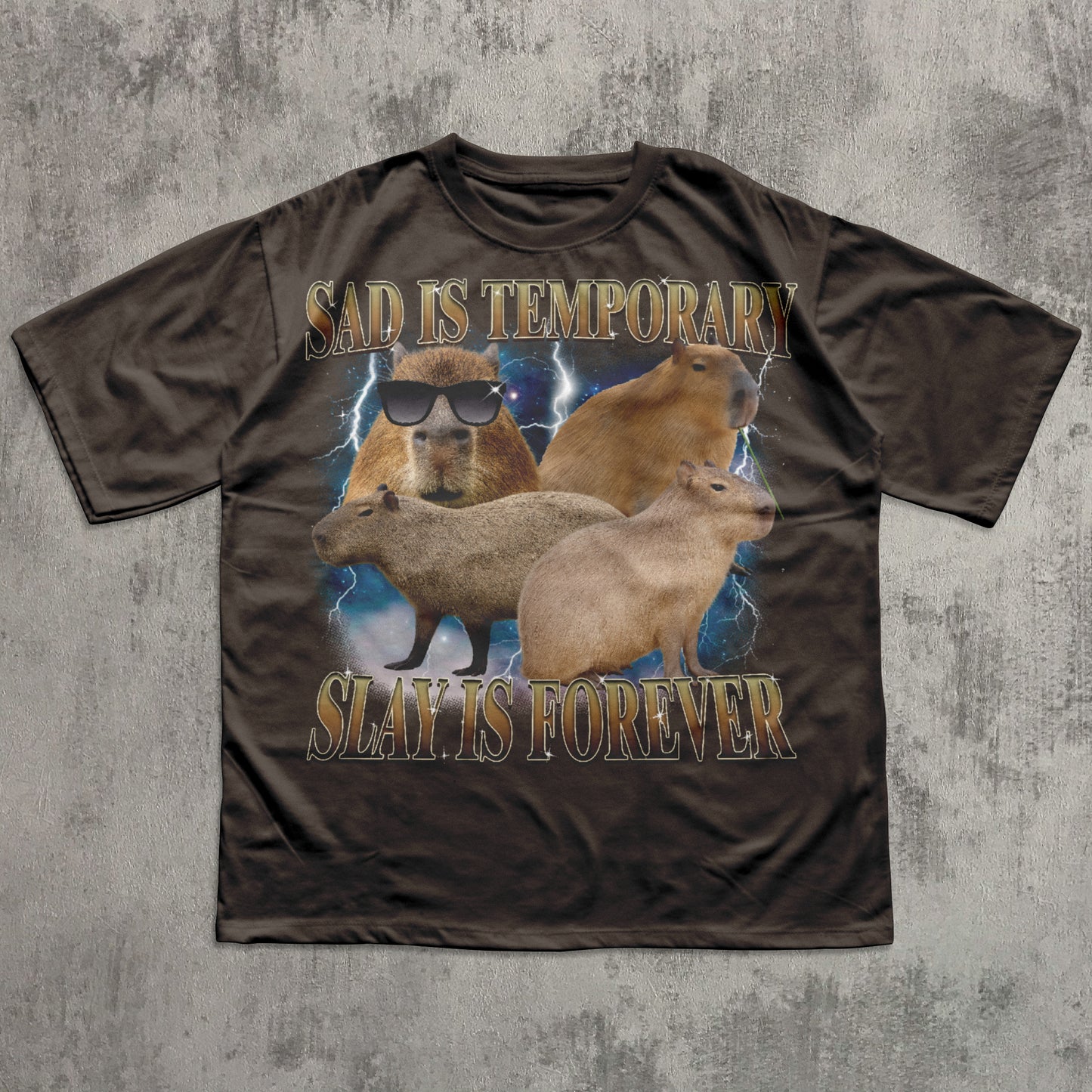 Sad Is Temporary Slay is Forever 90s Retro T-Shirt, Vintage Capybaras Shirt