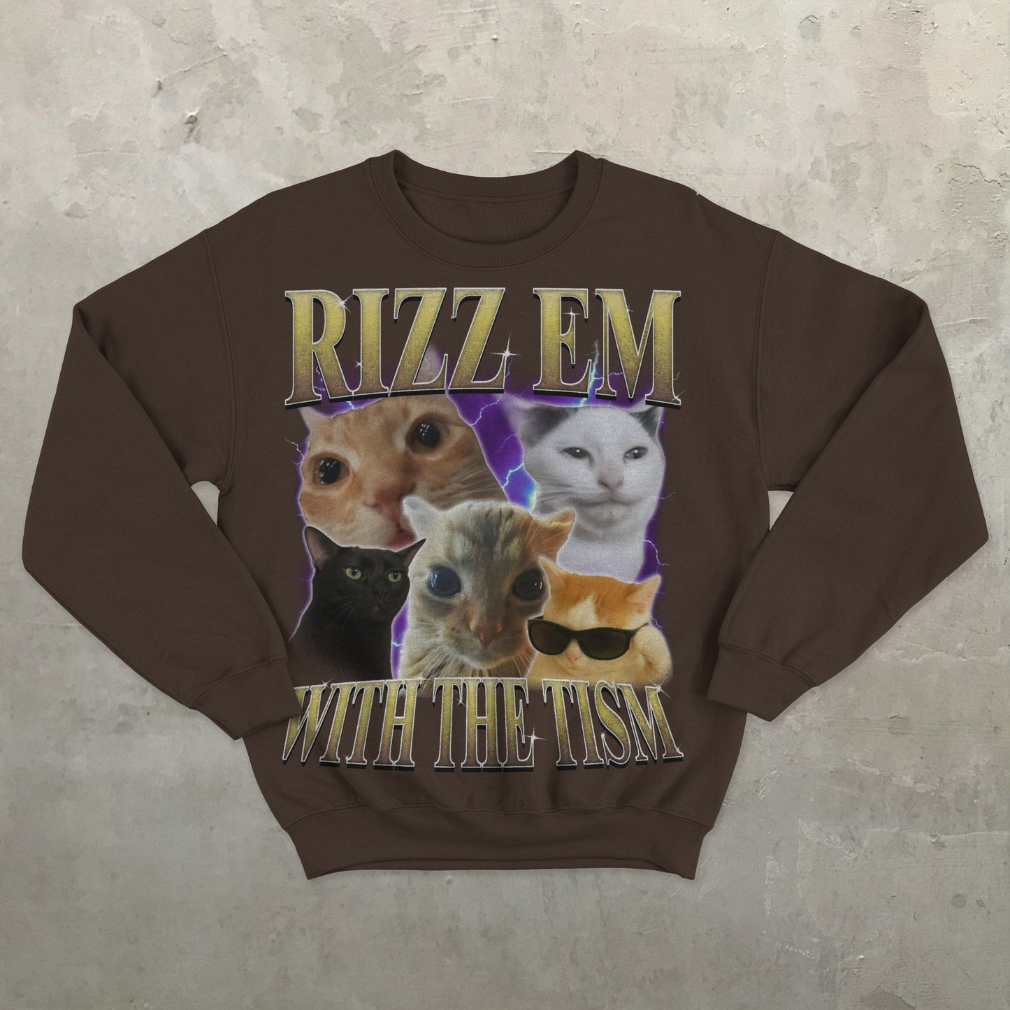 Rizz Em With The Tism Funny Cats Sweatshirt, Meme Sweater, Silly Cat Sweatshirts, Ugly Sweaters