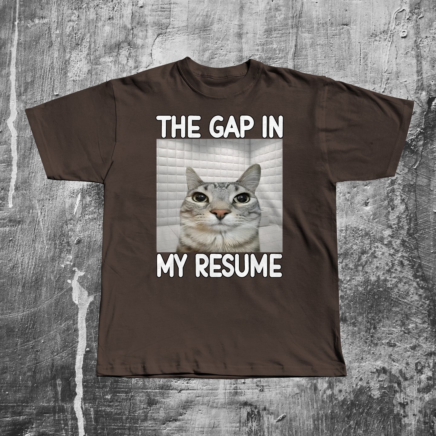 The Gap in My Resume Funny Cat Meme T-shirt, Brainrot Shirt