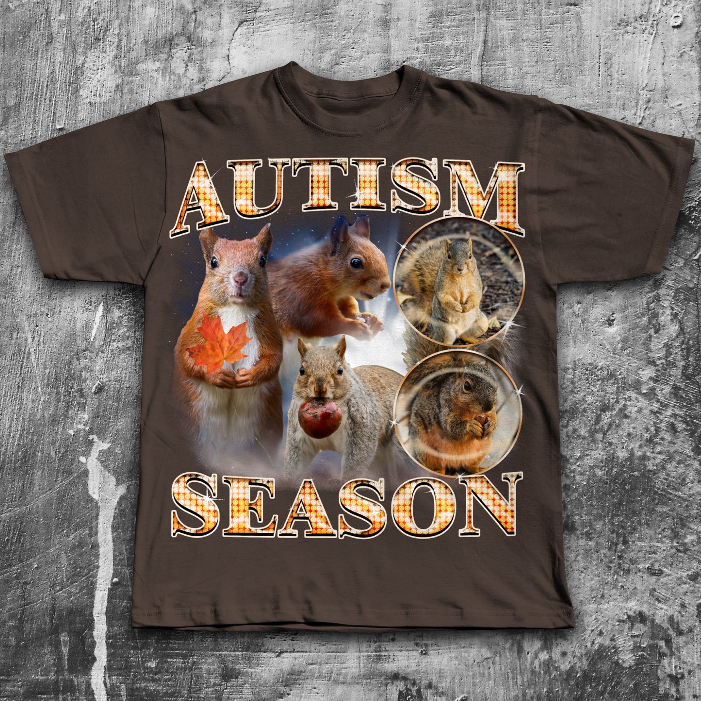 Autism Season Funny Squirrel T-shirt, Unhinged Clothes, Autumn Shirt, Stupid Gifts, Silly Animal Shirts, 90s Retro Bootleg Graphic Tee