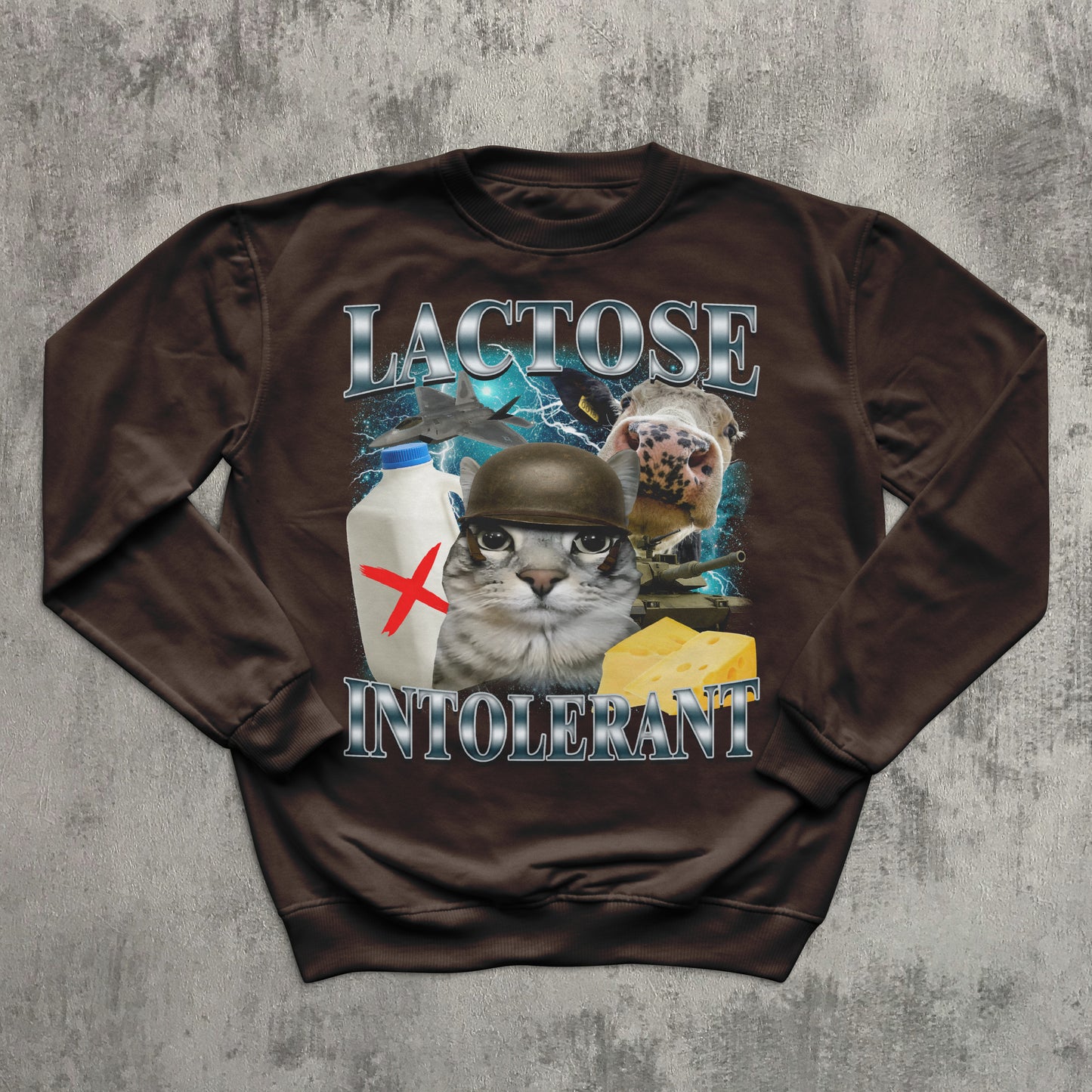 Lactose Intolerant Funny Cat Meme Sweatshirt, Lactose Sweatshirts, Stupid Gifts, Silly Cats Top