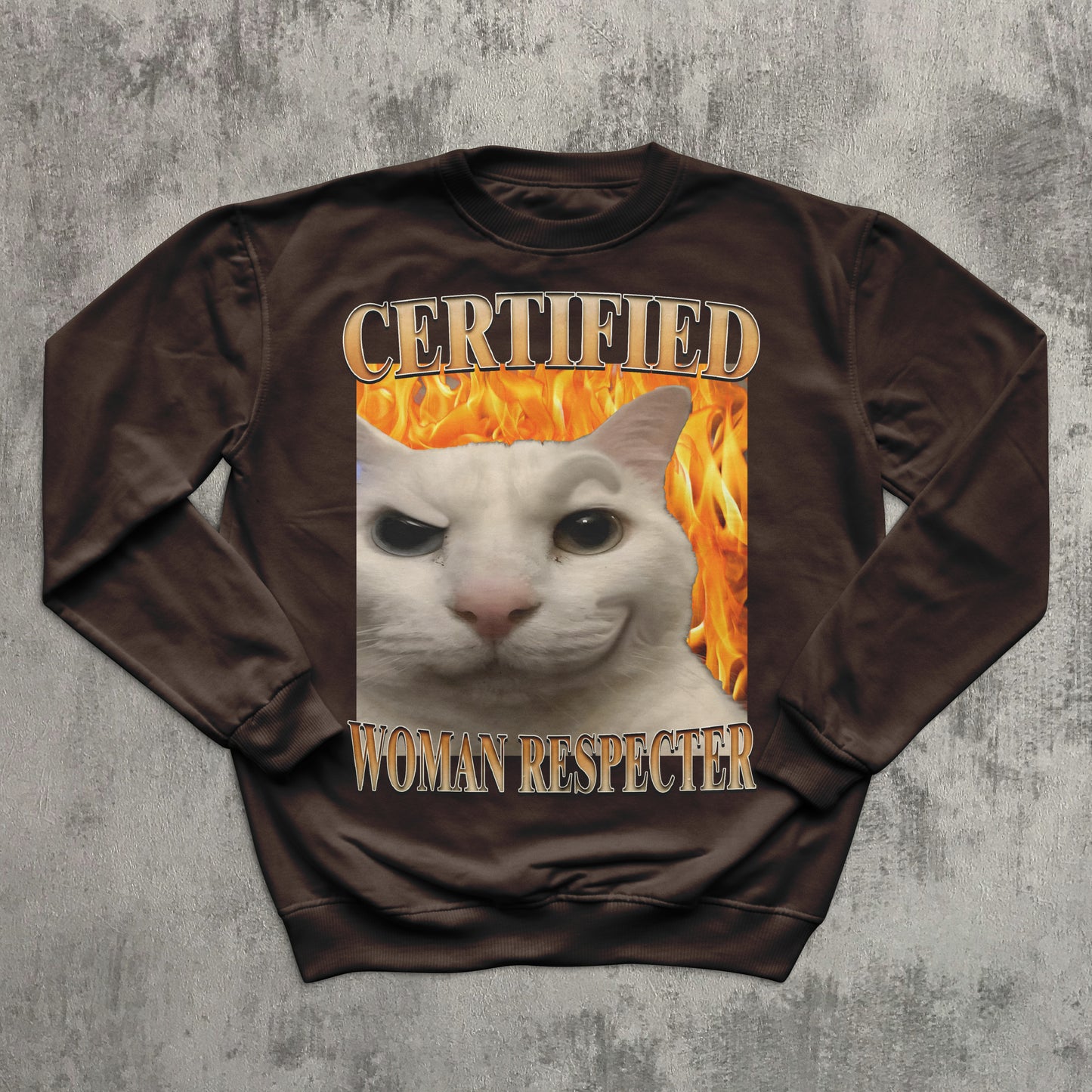 Certified Woman Respecter Funny Cat Meme Sweatshirt, Cats lover Gifts, Silly Kitten Sweaters, Ugly Sweater