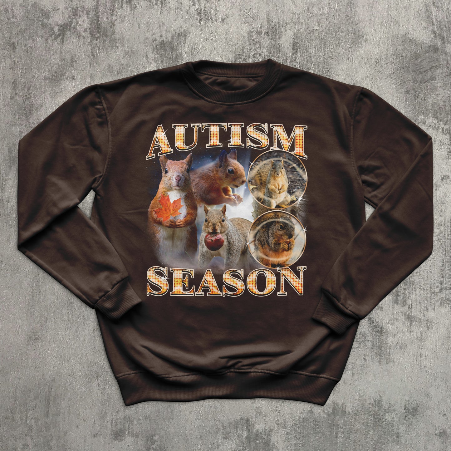 Autism Season Funny Squirrel Sweatshirt, Unhinged Clothes, Autumn Sweatshirts, Ugly Sweater
