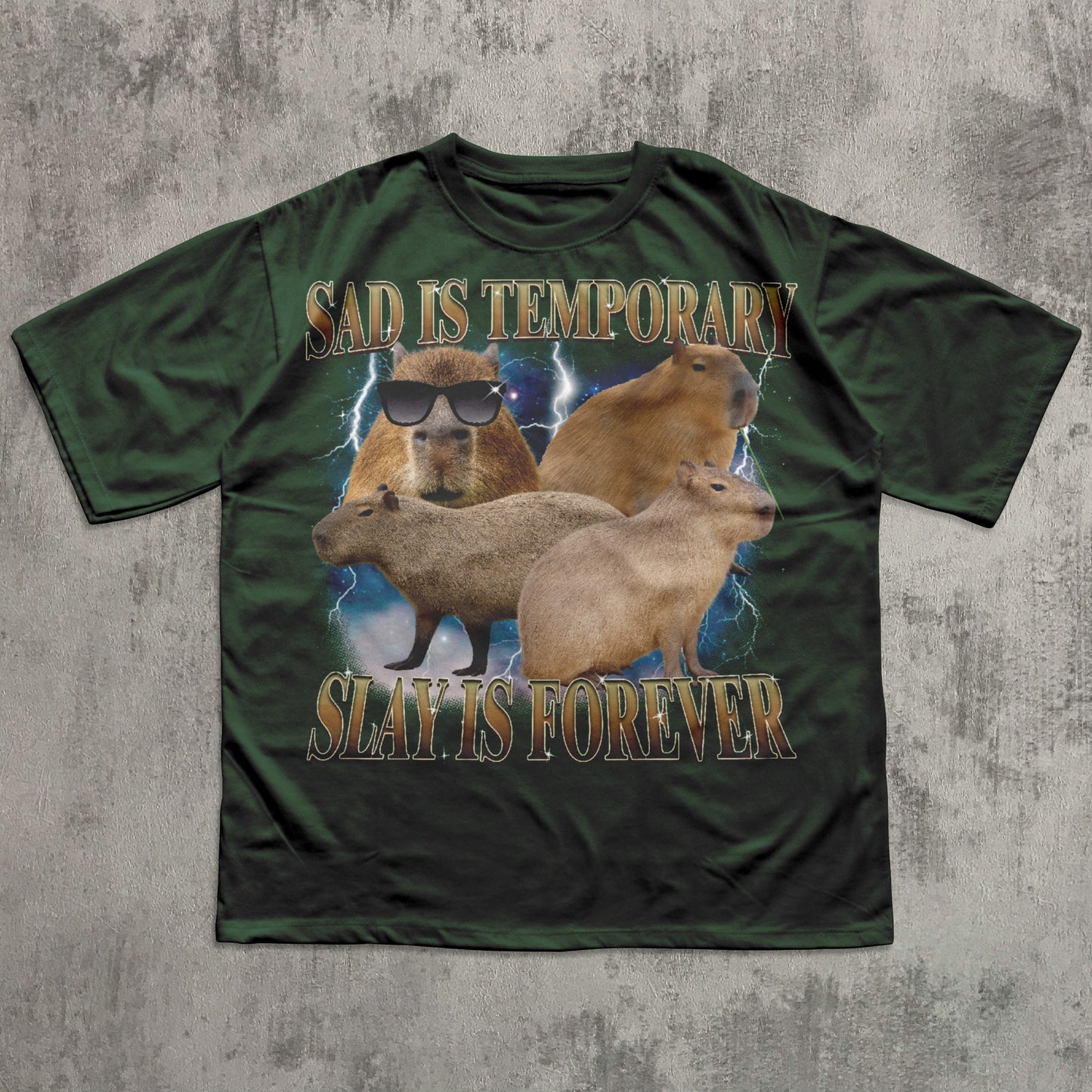 Sad Is Temporary Slay is Forever 90s Retro T-Shirt, Vintage Capybaras Shirt