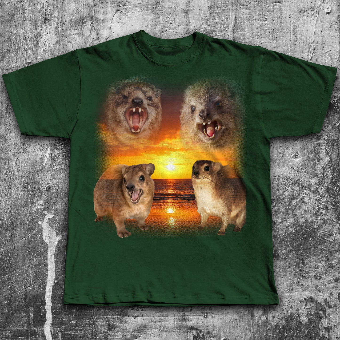 90s Vintage Hyrax Sunset T-shirt