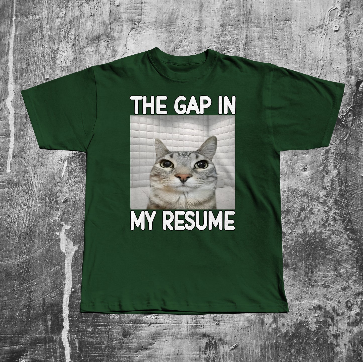 The Gap in My Resume Funny Cat Meme T-shirt, Brainrot Shirt