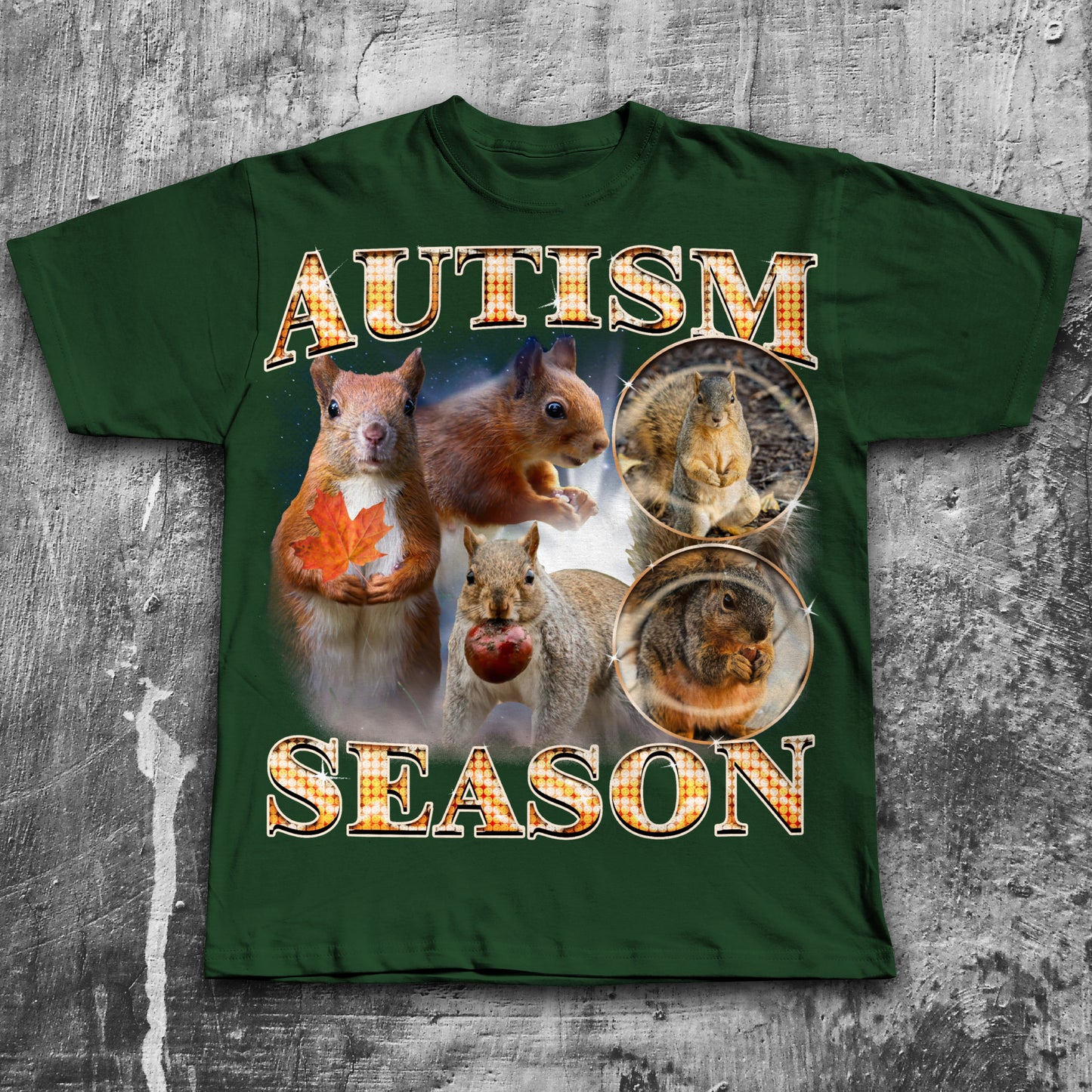 Autism Season Funny Squirrel T-shirt, Unhinged Clothes, Autumn Shirt, Stupid Gifts, Silly Animal Shirts, 90s Retro Bootleg Graphic Tee
