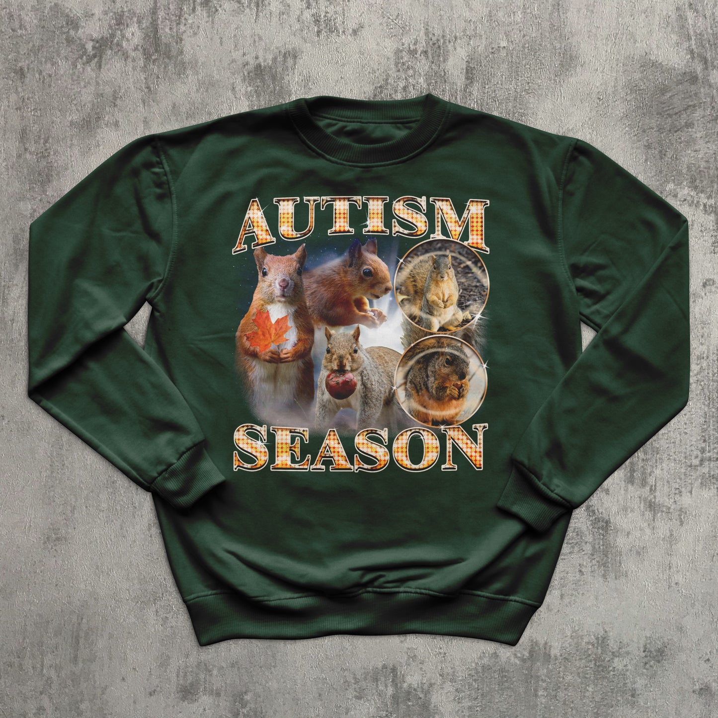 Autism Season Funny Squirrel Sweatshirt, Unhinged Clothes, Autumn Sweatshirts, Ugly Sweater
