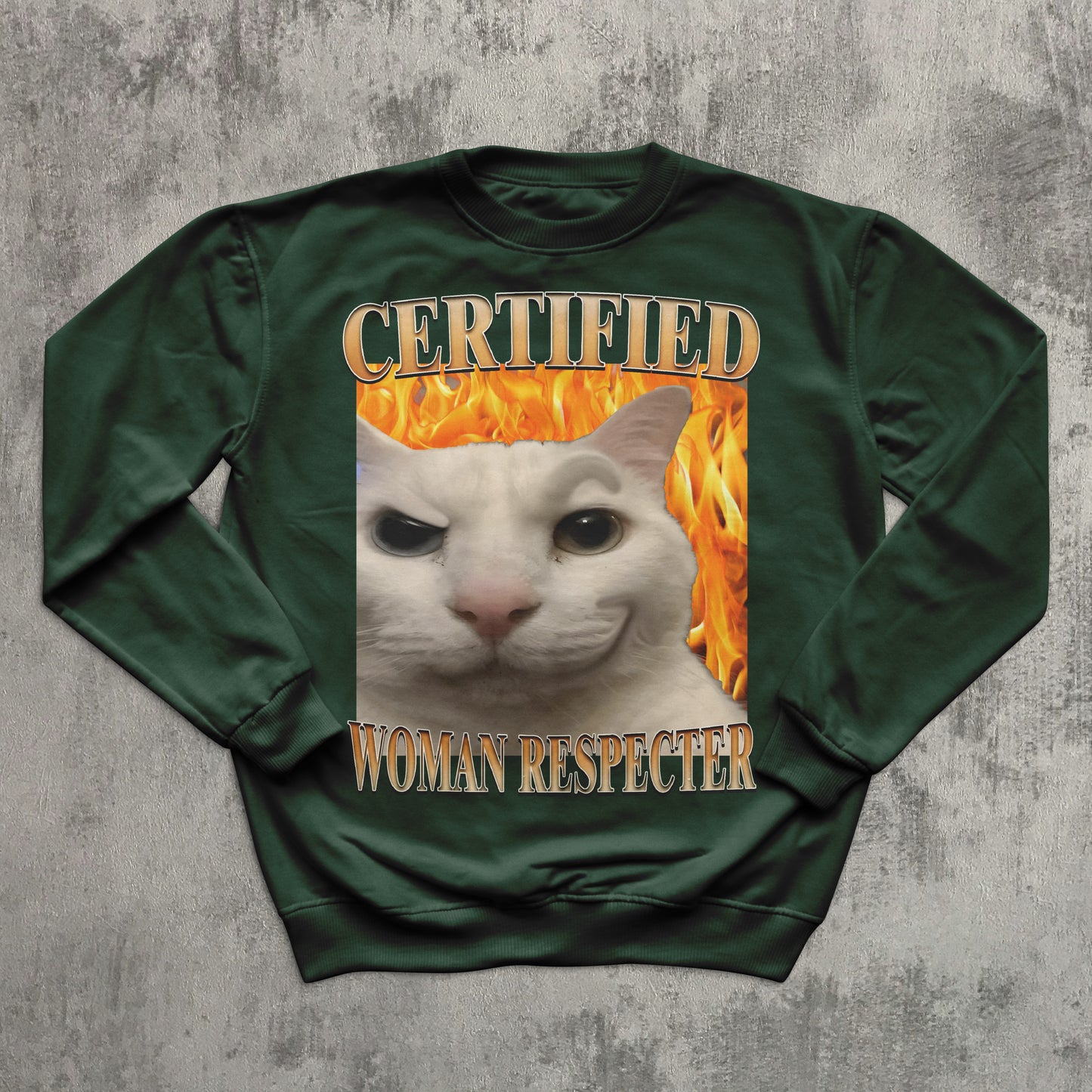 Certified Woman Respecter Funny Cat Meme Sweatshirt, Cats lover Gifts, Silly Kitten Sweaters, Ugly Sweater