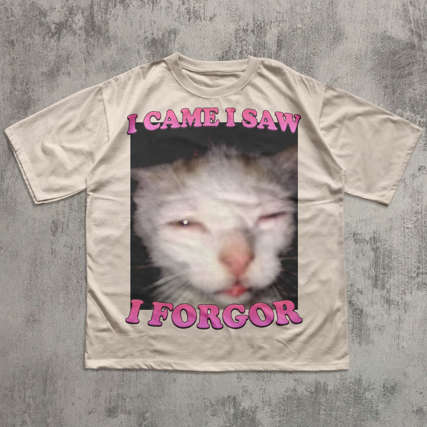 I came I saw I Forgor Funny Cat Meme T-shirt, Silly Cats Shirt, Stupid Shirts