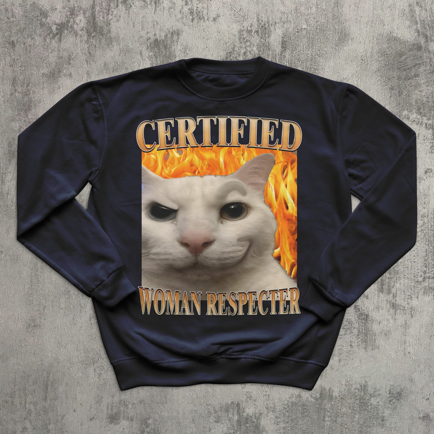 Certified Woman Respecter Funny Cat Meme Sweatshirt, Cats lover Gifts, Silly Kitten Sweaters, Ugly Sweater
