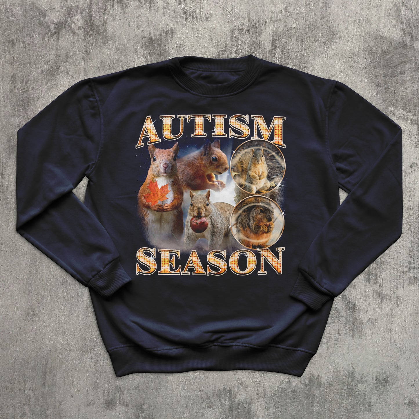 Autism Season Funny Squirrel Sweatshirt, Unhinged Clothes, Autumn Sweatshirts, Ugly Sweater