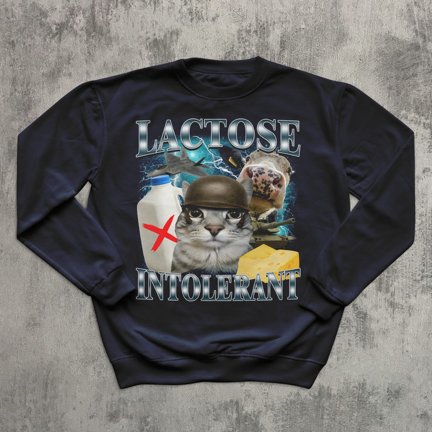 Lactose Intolerant Funny Cat Meme Sweatshirt, Lactose Sweatshirts, Stupid Gifts, Silly Cats Top