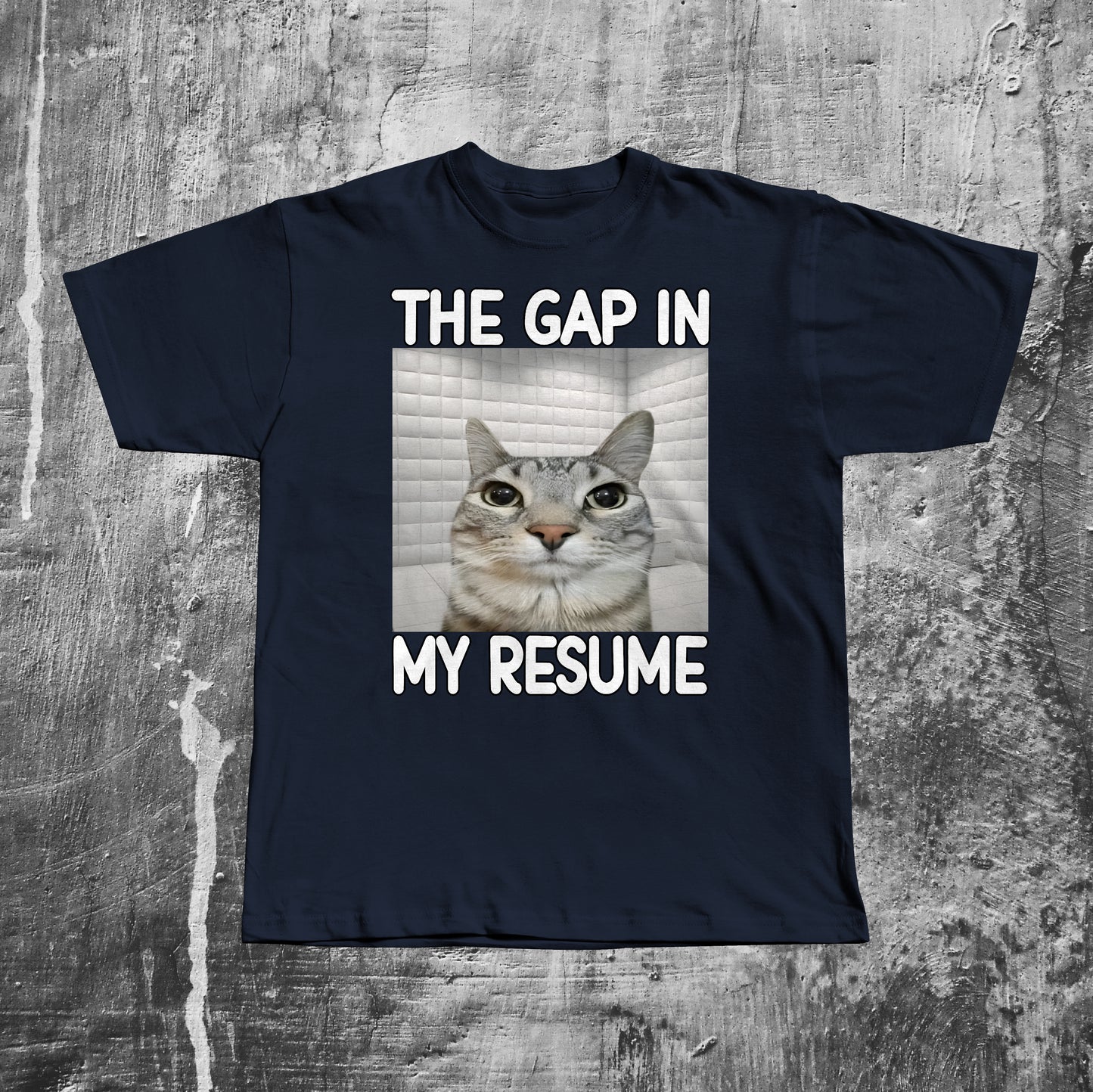 The Gap in My Resume Funny Cat Meme T-shirt, Brainrot Shirt