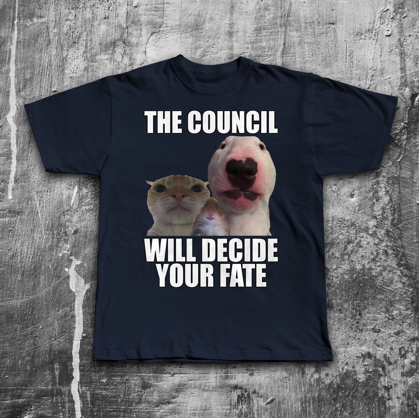 The Council Will Decide Your Fate Funny Cat Meme T-Shirt, Brainrot Shirt