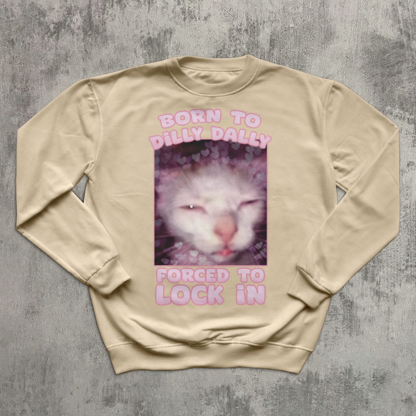 Born to Dilly Dally Forced To Lock In Funny Cat Meme Sweatshirt, Silly Cats Sweater, Ugly Sweathirts
