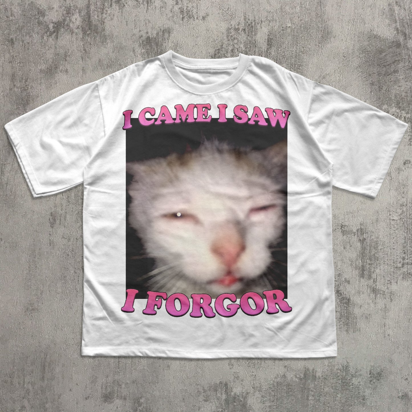 I came I saw I Forgor Funny Cat Meme T-shirt, Silly Cats Shirt, Stupid Shirts