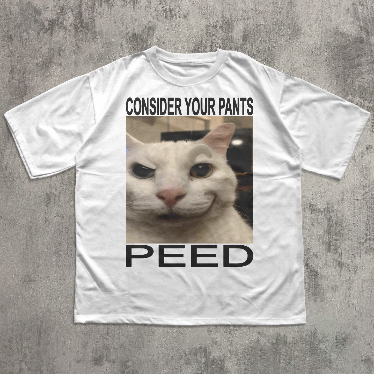 Consider Your Pants Peed Funny Cat Meme T-shirt, Brainrot Shirt