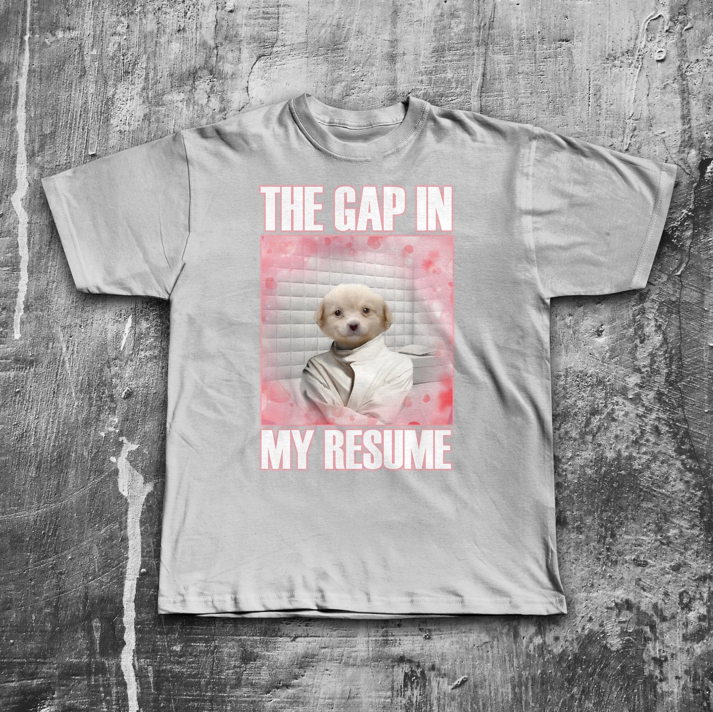 The Gap in My Resume Funny Mulch Dog Meme T-shirt, Brainrot Shirt