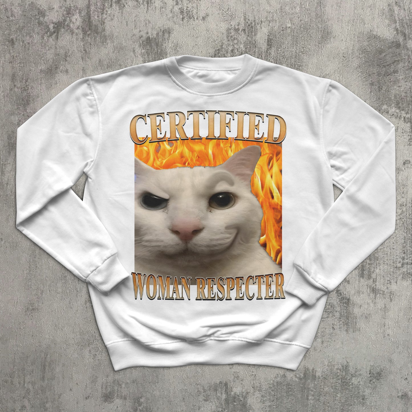 Certified Woman Respecter Funny Cat Meme Sweatshirt, Cats lover Gifts, Silly Kitten Sweaters, Ugly Sweater