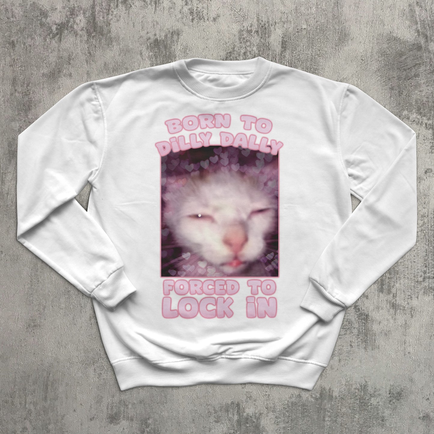 Born to Dilly Dally Forced To Lock In Funny Cat Meme Sweatshirt, Silly Cats Sweater, Ugly Sweathirts