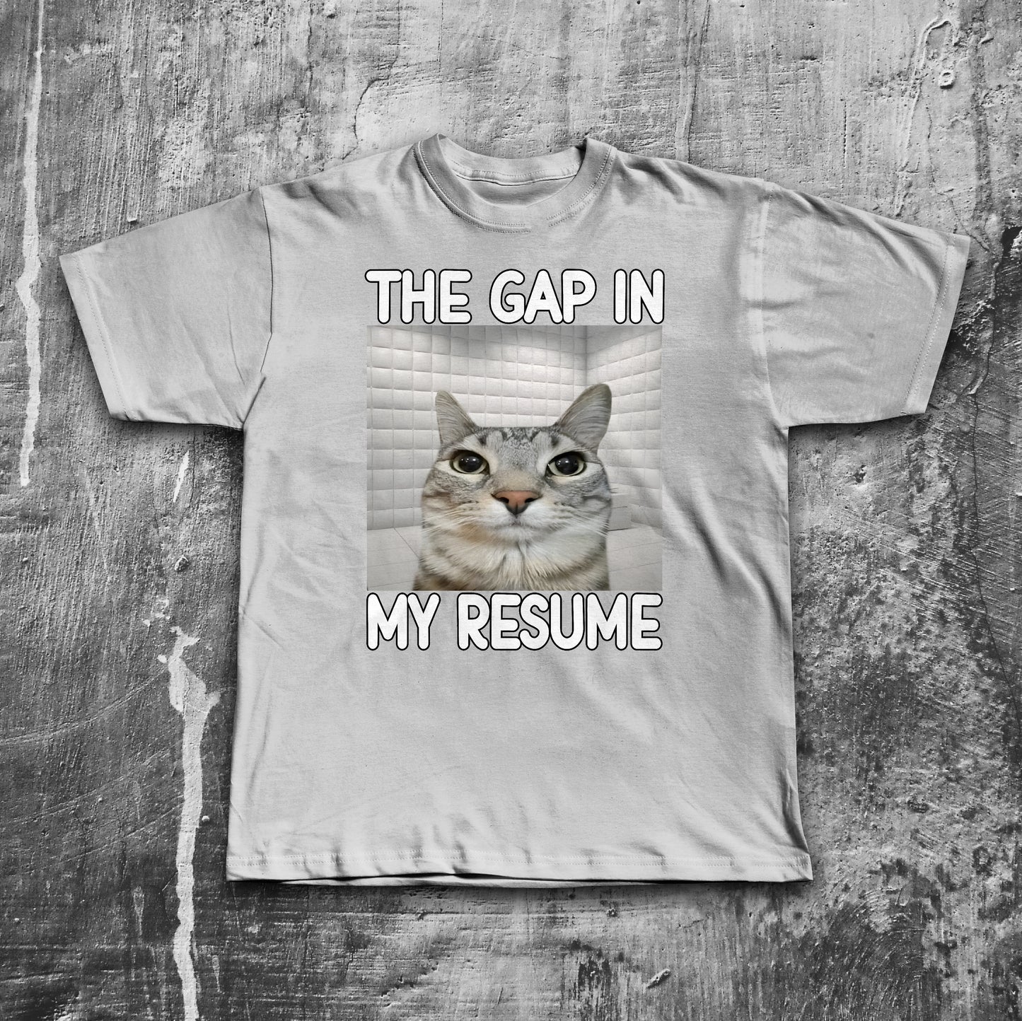 The Gap in My Resume Funny Cat Meme T-shirt, Brainrot Shirt