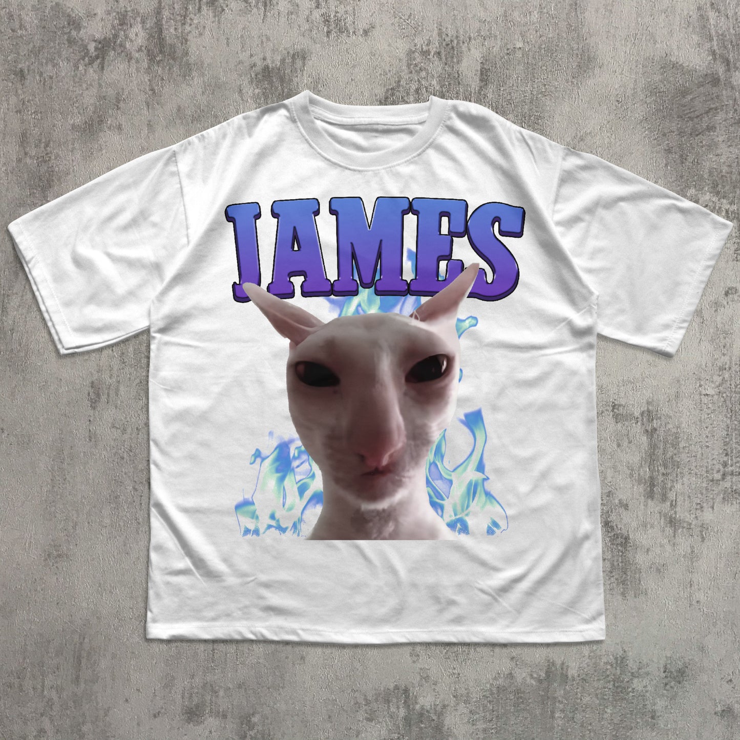 James Funny Cat Meme T-shirt