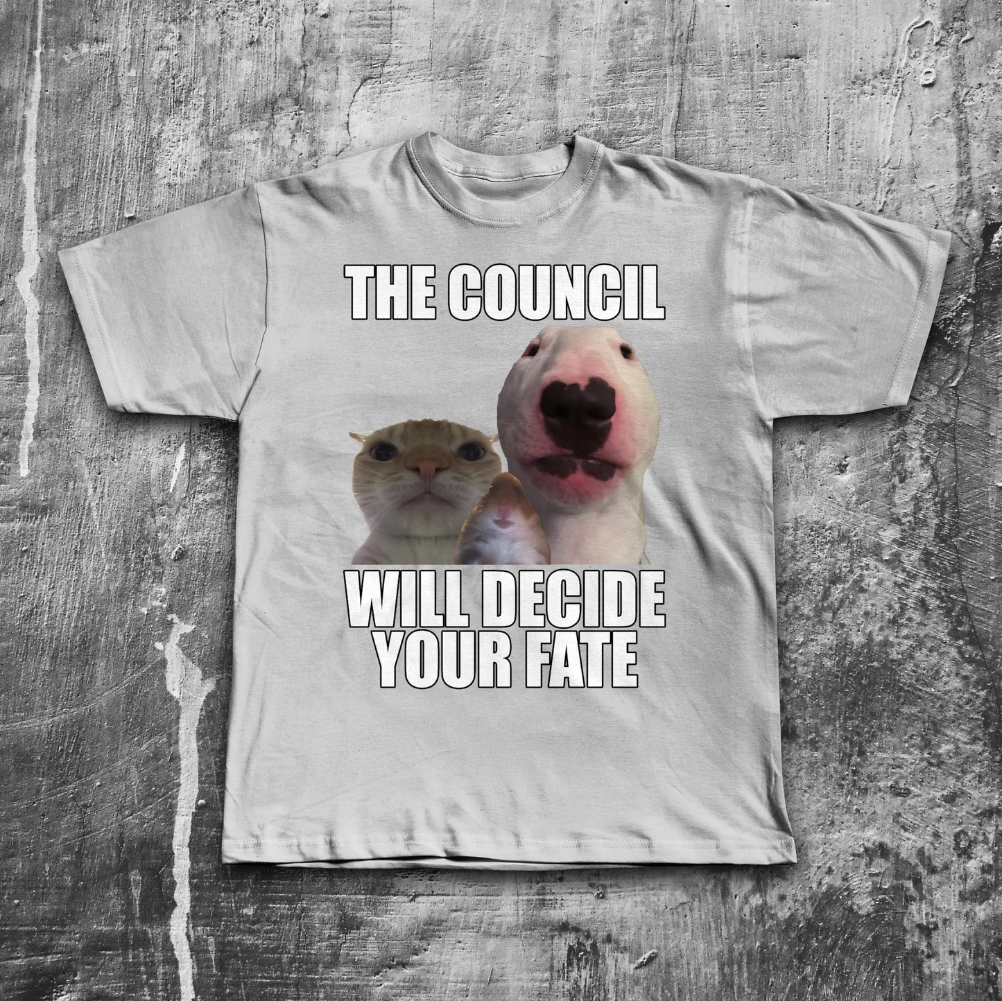 The Council Will Decide Your Fate Funny Cat Meme T-Shirt, Brainrot Shirt